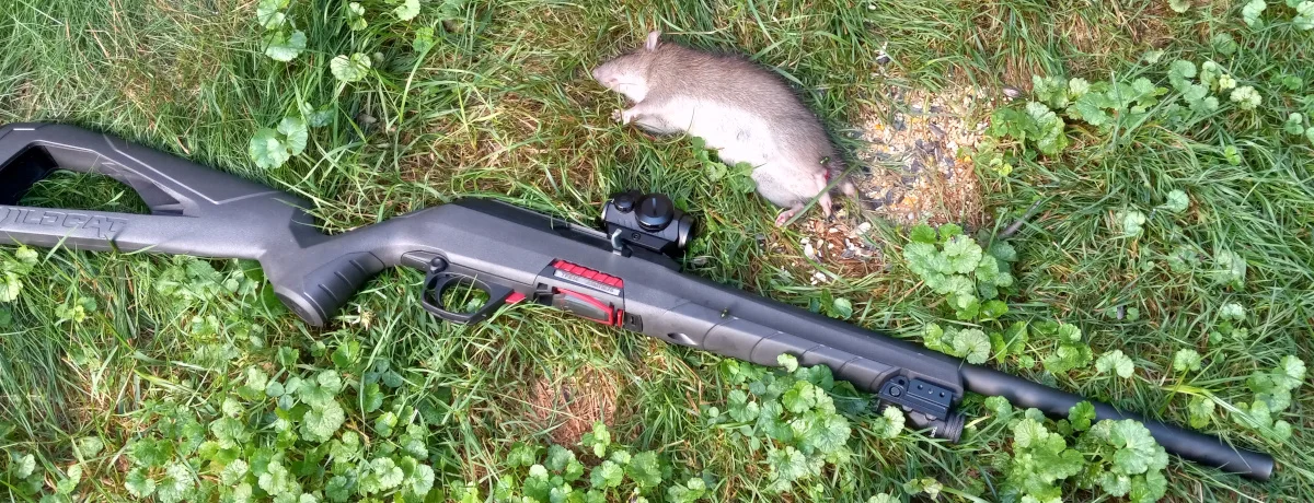 2025_rat_patrol.webp