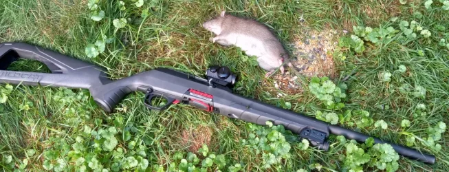 2025_rat_patrol.webp